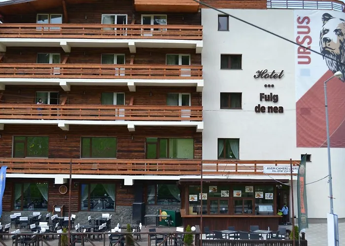 Cabana Fulg De Nea Predeal
